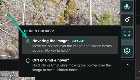 The Annotation settings pop-up showing the two hidden-box reveal options with the default marked